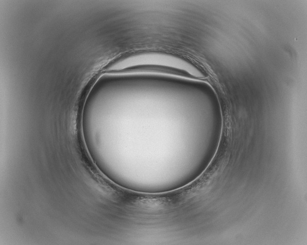 X0000116040299200912041817