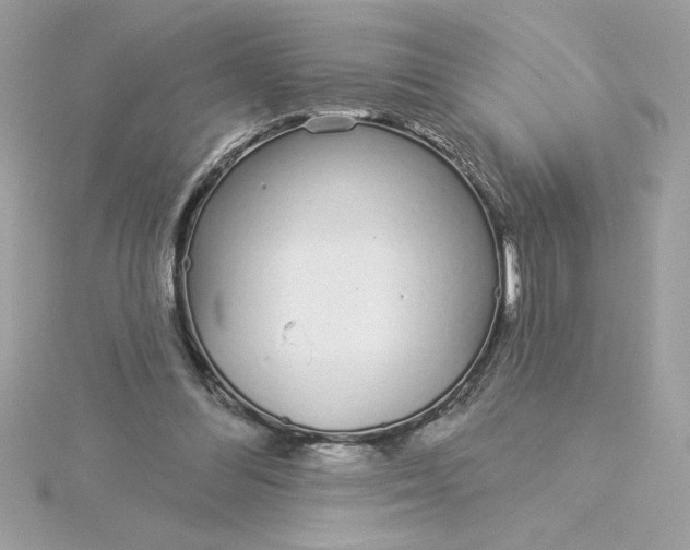 X0000116040300200912041817