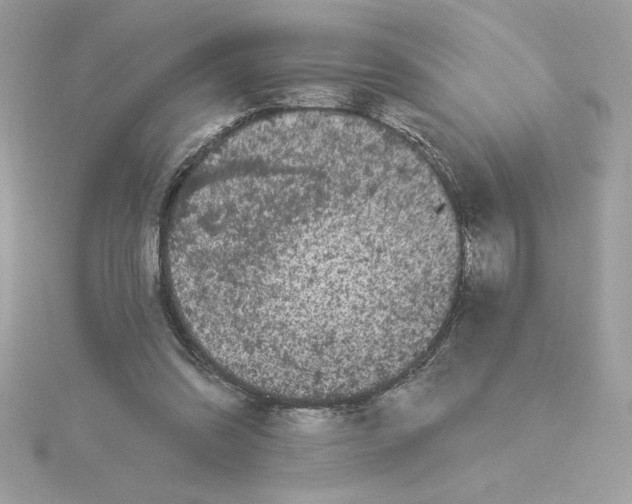 X0000116040302200912041817