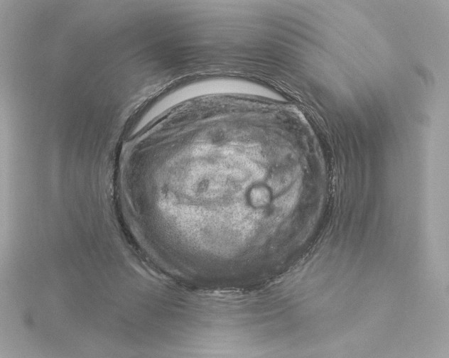 X0000116040303200912041817