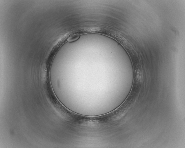 X0000116040304200912041817