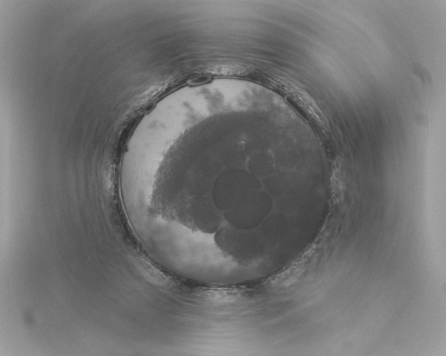 X0000116040305200912041817