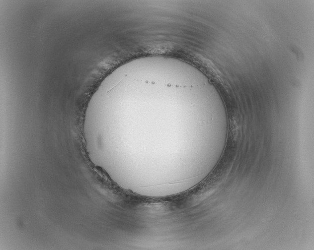 X0000116040307200912041817