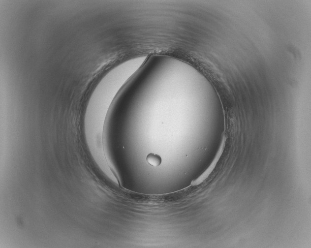 X0000116040308200912041817