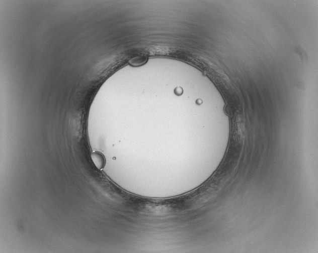 X0000116040311200912041817