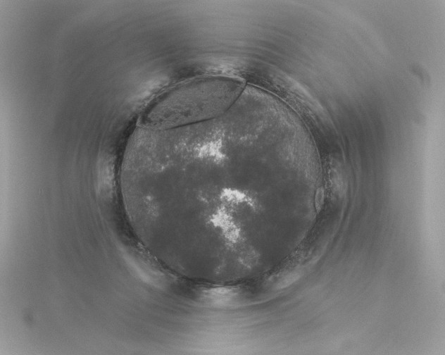 X0000116040312200912041817