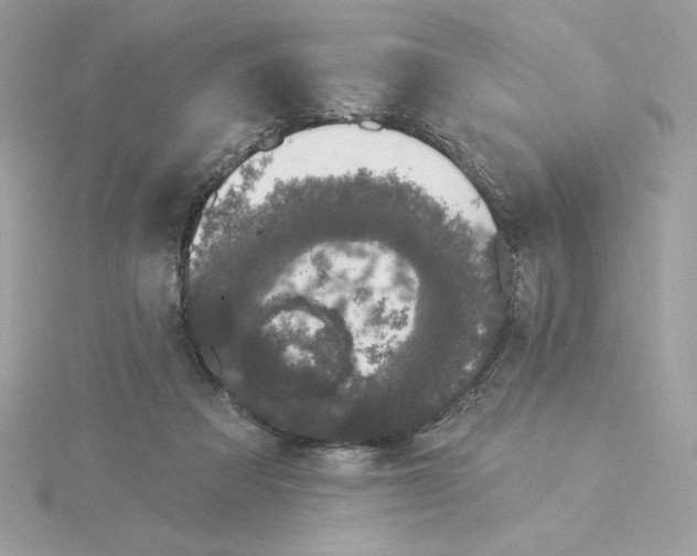 X0000116040313200912041817