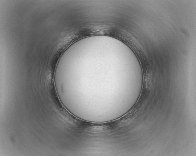 X0000116040314200912041817