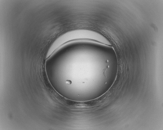 X0000116040316200912041817