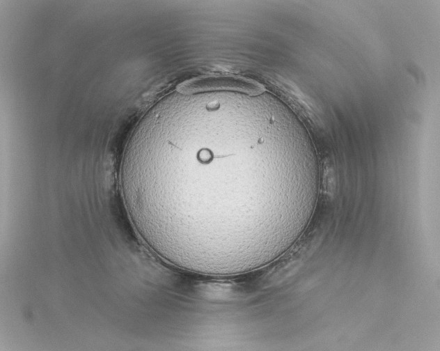 X0000116040318200912041817