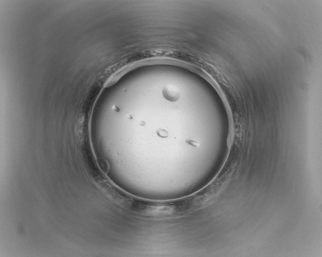 X0000116040319200912041817