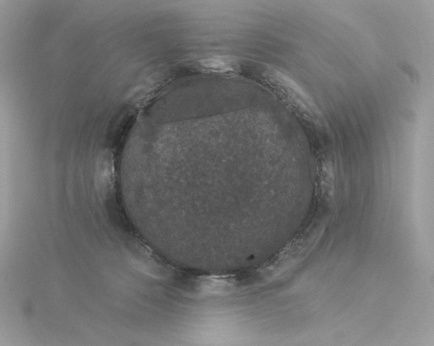 X0000116040320200912041817