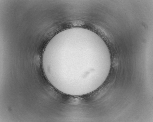 X0000116040321200912041817