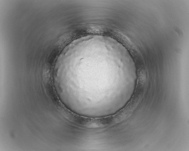 X0000116040322200912041817