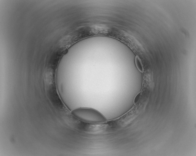 X0000116040323200912041817