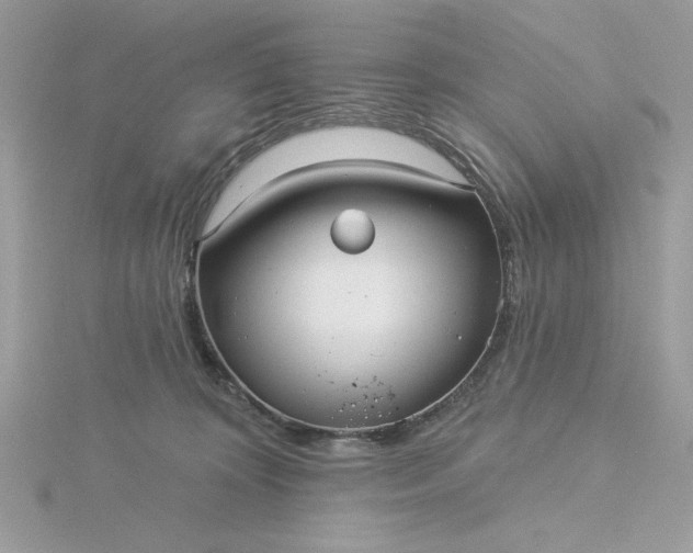 X0000116040324200912041817