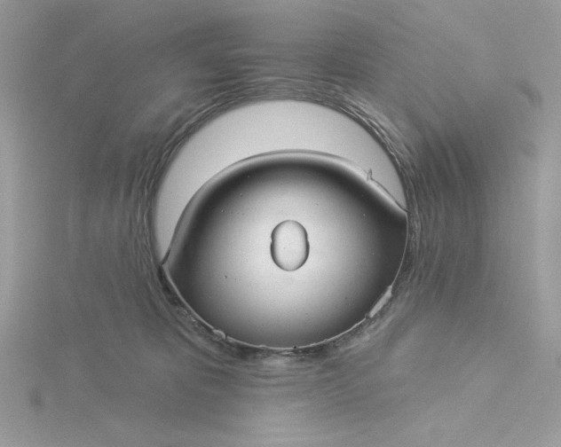 X0000116040325200912041817