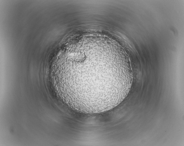 X0000116040326200912041817