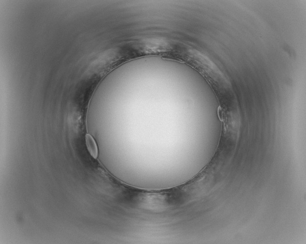 X0000116040327200912041817