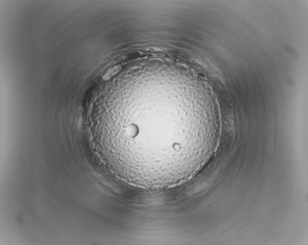 X0000116040328200912041817