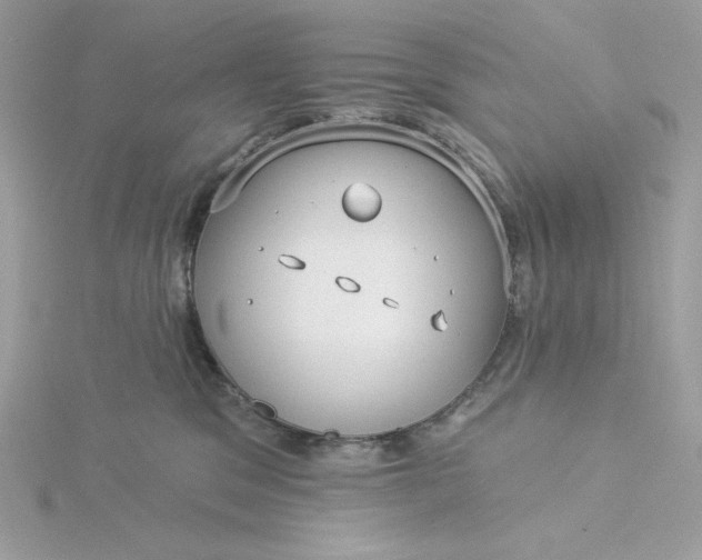 X0000116040329200912041817