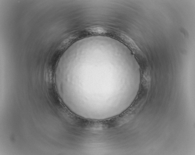 X0000116040330200912041817