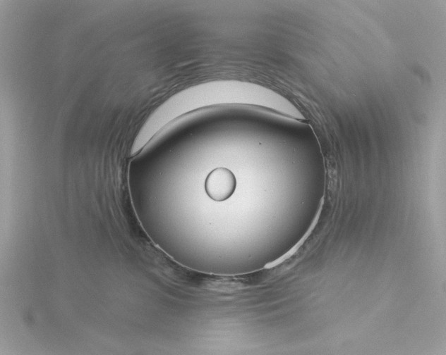 X0000116040331200912041817