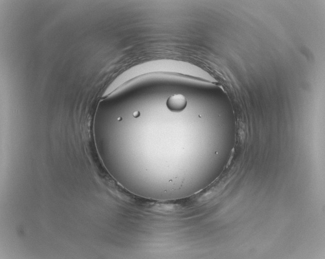 X0000116040332200912041817