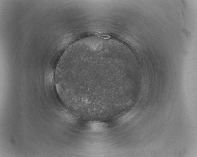 X0000116040336200912041817