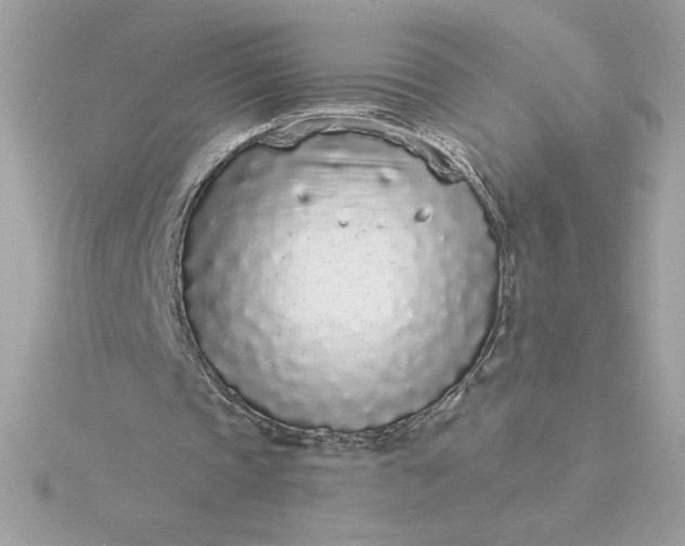 X0000116040337200912041816