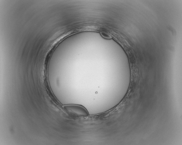 X0000116040338200912041816