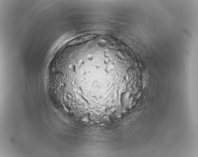 X0000116040339200912041816