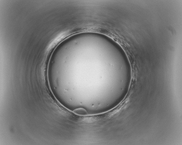 X0000116040341200912041816