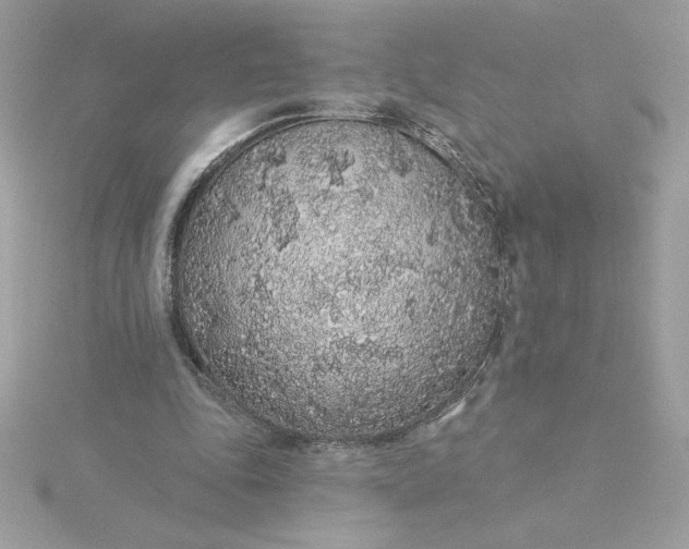 X0000116040343200912041816