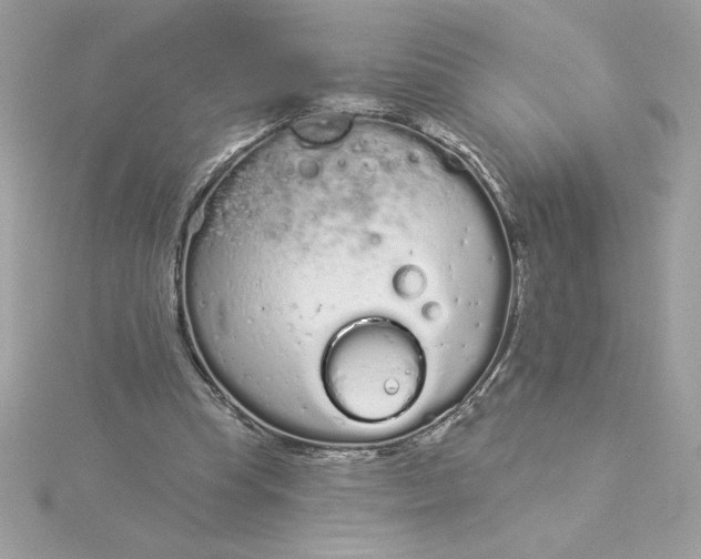 X0000116040345200912041816