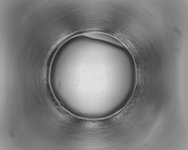 X0000116040346200912041816