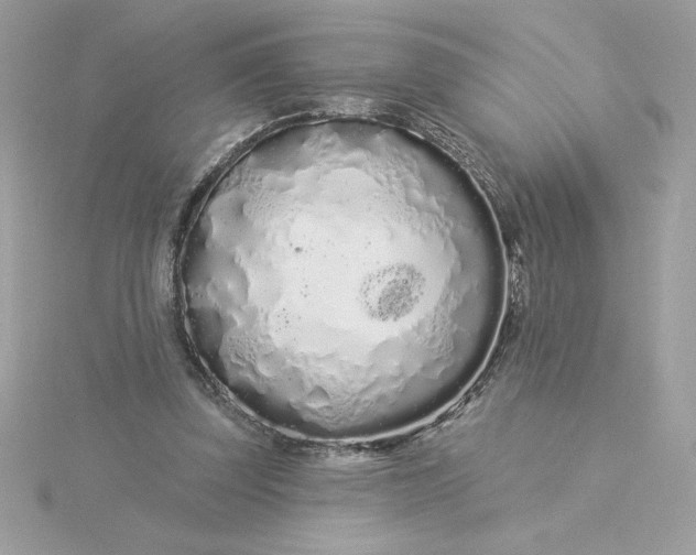 X0000116040347200912041816