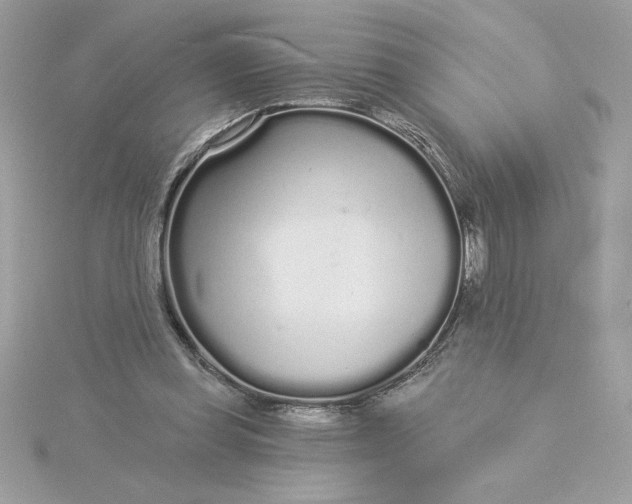 X0000116040349200912041816