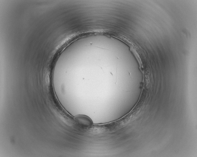 X0000116040350200912041816