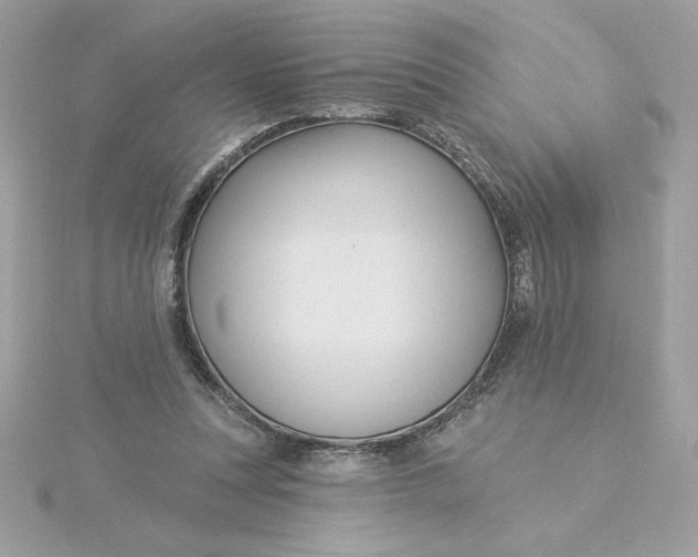 X0000116040351200912041816