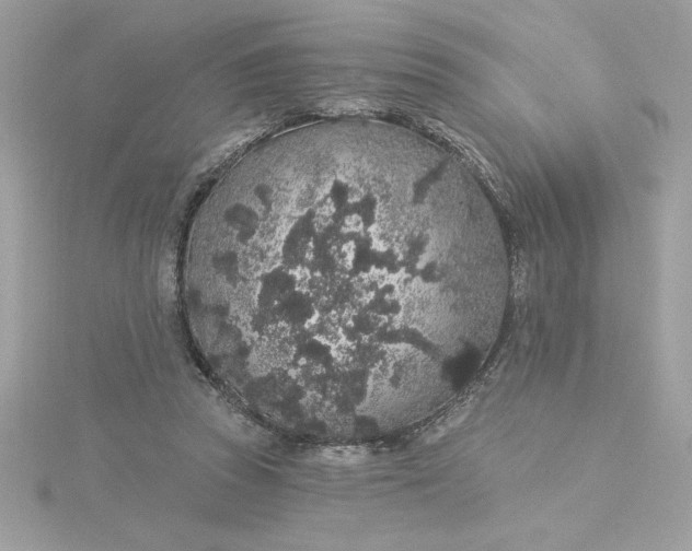 X0000116040353200912041816