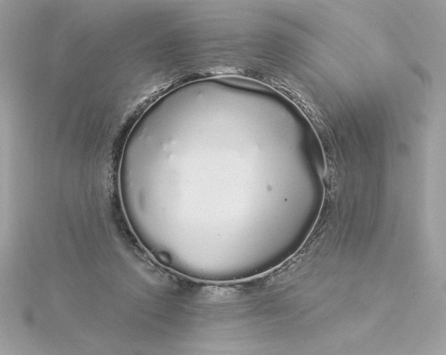 X0000116040354200912041816