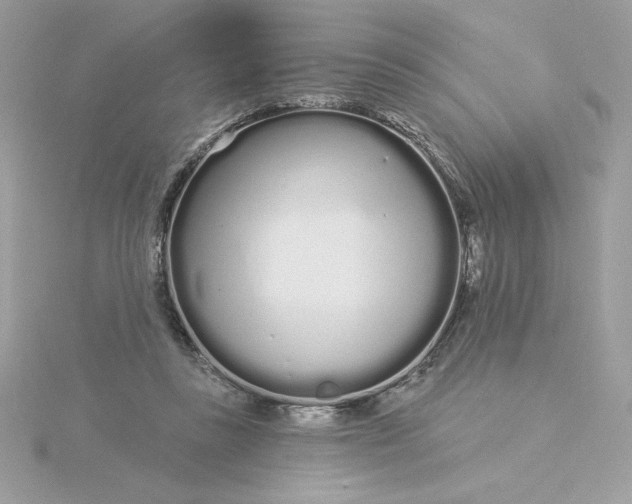 X0000116040355200912041816