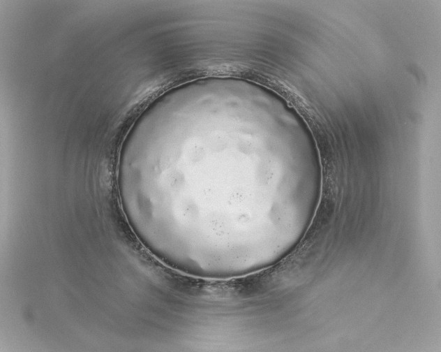 X0000116040357200912041816