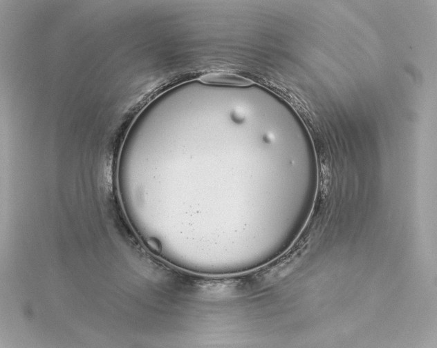 X0000116040358200912041816