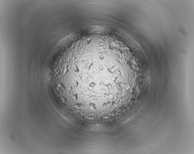 X0000116040361200912041817