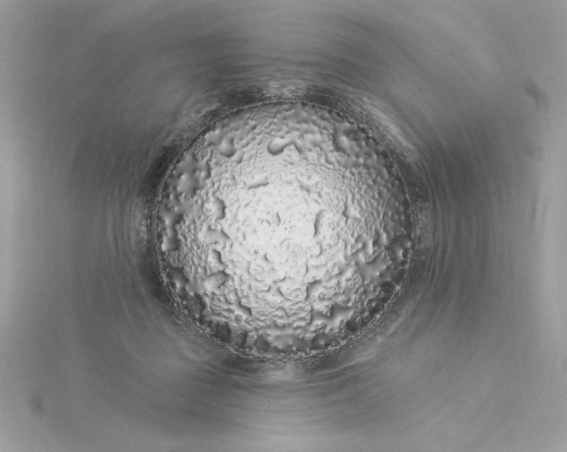 X0000116040363200912041817