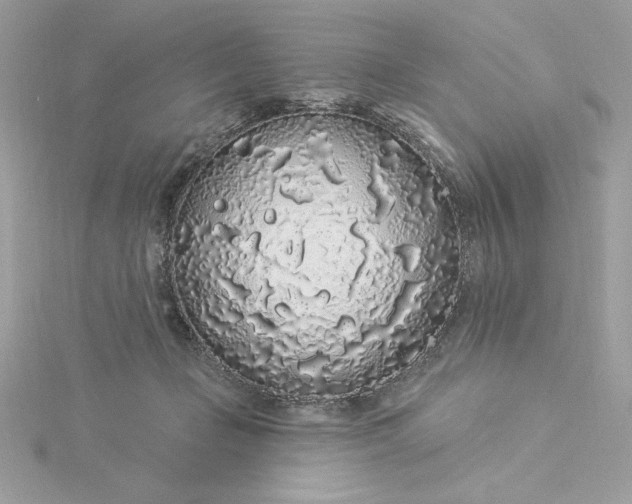 X0000116040365200912041817