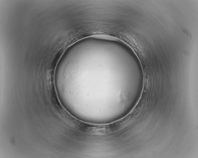 X0000116040366200912041817