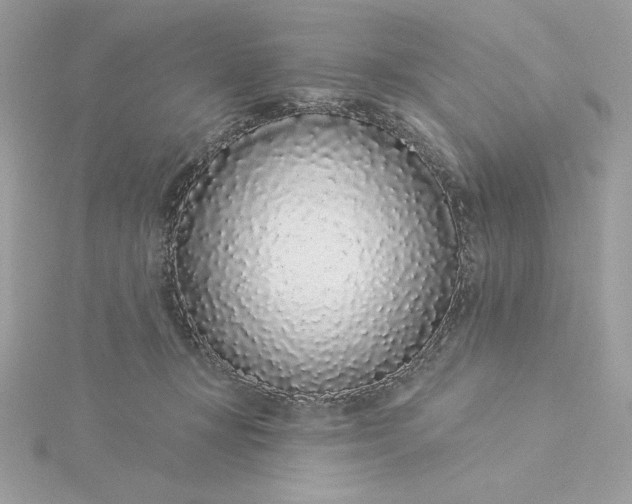 X0000116040367200912041817